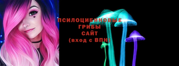 гидропоника Медвежьегорск