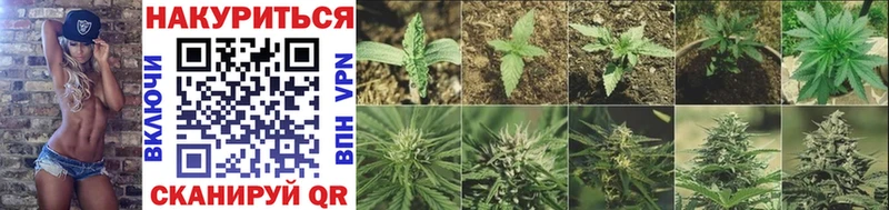 Купить закладки  Солигалич  Конопля Bruce Banner 